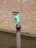 IMG_2932