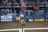 Rodeo in Cody