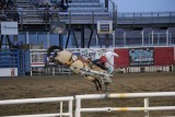 Rodeo in Cody