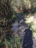 Dommelroute