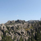 Custer State Park in de Black Hills of South Dakota