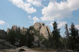 Custer State Park in de Black Hills of South Dakota