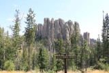 Custer State Park in de Black Hills of South Dakota