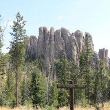 Custer State Park in de Black Hills of South Dakota