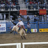 Rodeo in Cody