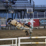 Rodeo in Cody