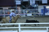 Rodeo in Cody