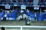 Rodeo in Cody