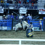 Rodeo in Cody