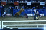 Rodeo in Cody