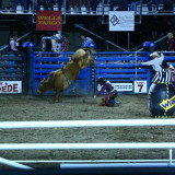 Rodeo in Cody