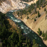 Yellowstone rivier