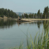 Fishing Bridge in Yellowstone rivier