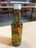 Workshop Winery and Herbs