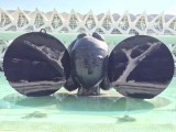 Tijdelijke expositie bij museum van de Kunst en de Wetenschap Valencia