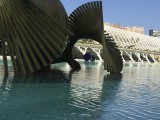 Tijdelijke expositie bij museum van de Kunst en de Wetenschap Valencia