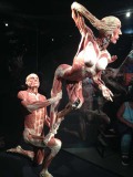 The Bodies tentoonstelling