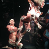 The Bodies tentoonstelling