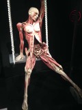 The Bodies tentoonstelling