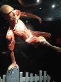 The Bodies tentoonstelling