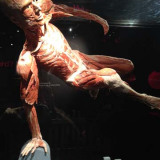The Bodies tentoonstelling