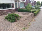 Buxes heg eruit