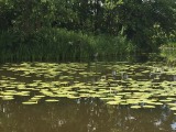 IMG_5751