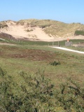 Coepelduynen