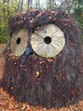 Uil in Parc Chlorophylle