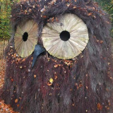 Uil in Parc Chlorophylle