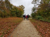 Parc Chlorophylle