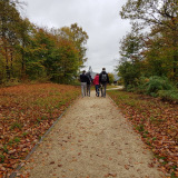 Parc Chlorophylle