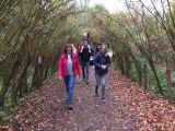 Parc Chlorophylle