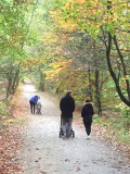 Parc Chlorophylle