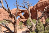 Double Arch
