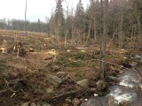 Stormschade Hoge Venen