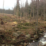 Stormschade Hoge Venen