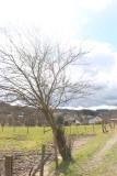 Overzicht Eifel