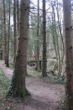 Overzicht Eifel