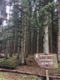 Hoge Venen in Belgie