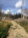 Onderweg naar de Brocken