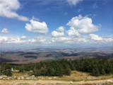 Overzicht Harz