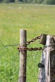 IMG_9184