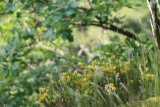 IMG_9185