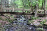 IMG_9189