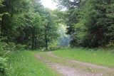 IMG_9191