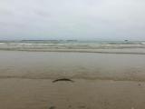 Arromanches les Bains