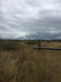 Veluwe