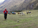 Richting Cruzpata via Inca trail