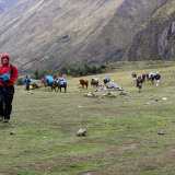 Richting Cruzpata via Inca trail